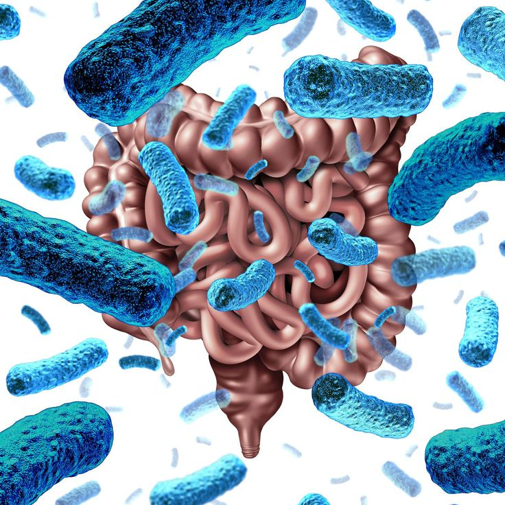 Gut Microbiome Testing